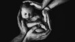 Verification of Information: Correcting Four Misconceptions about Newborns